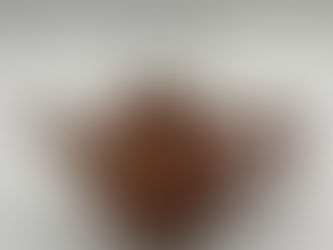 90年代 中國宜興 紫泥_The 90s China YiXing ZhiNi(B-1)