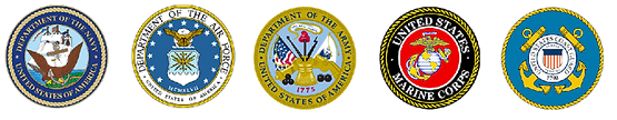 branches of service png_edited.png