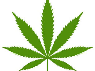 Endemic Cannabis Marketing