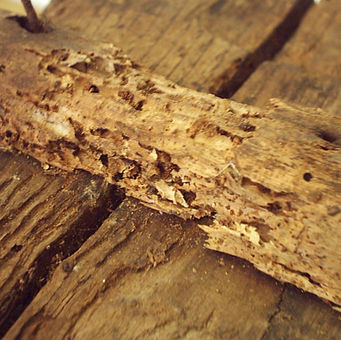 CORC: Public enemy #1