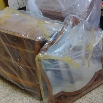 Desinsectació - desinfecció