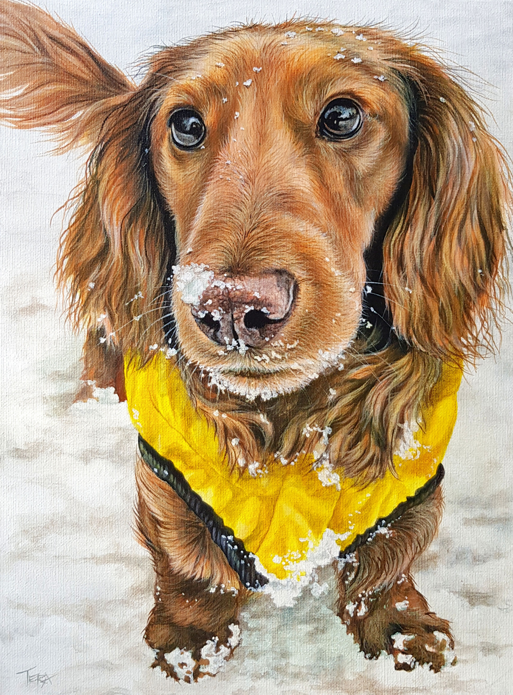 Rocket Portrait Painting - Acrylic