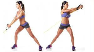 https://www.principlefourosteopathy.com/oblique-training-exercises/