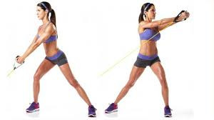 https://www.principlefourosteopathy.com/oblique-training-exercises/