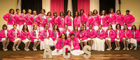 ACS-About Us-Our Goals Group Pic.jpg