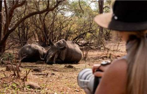 Thorntree River Lodge_activities