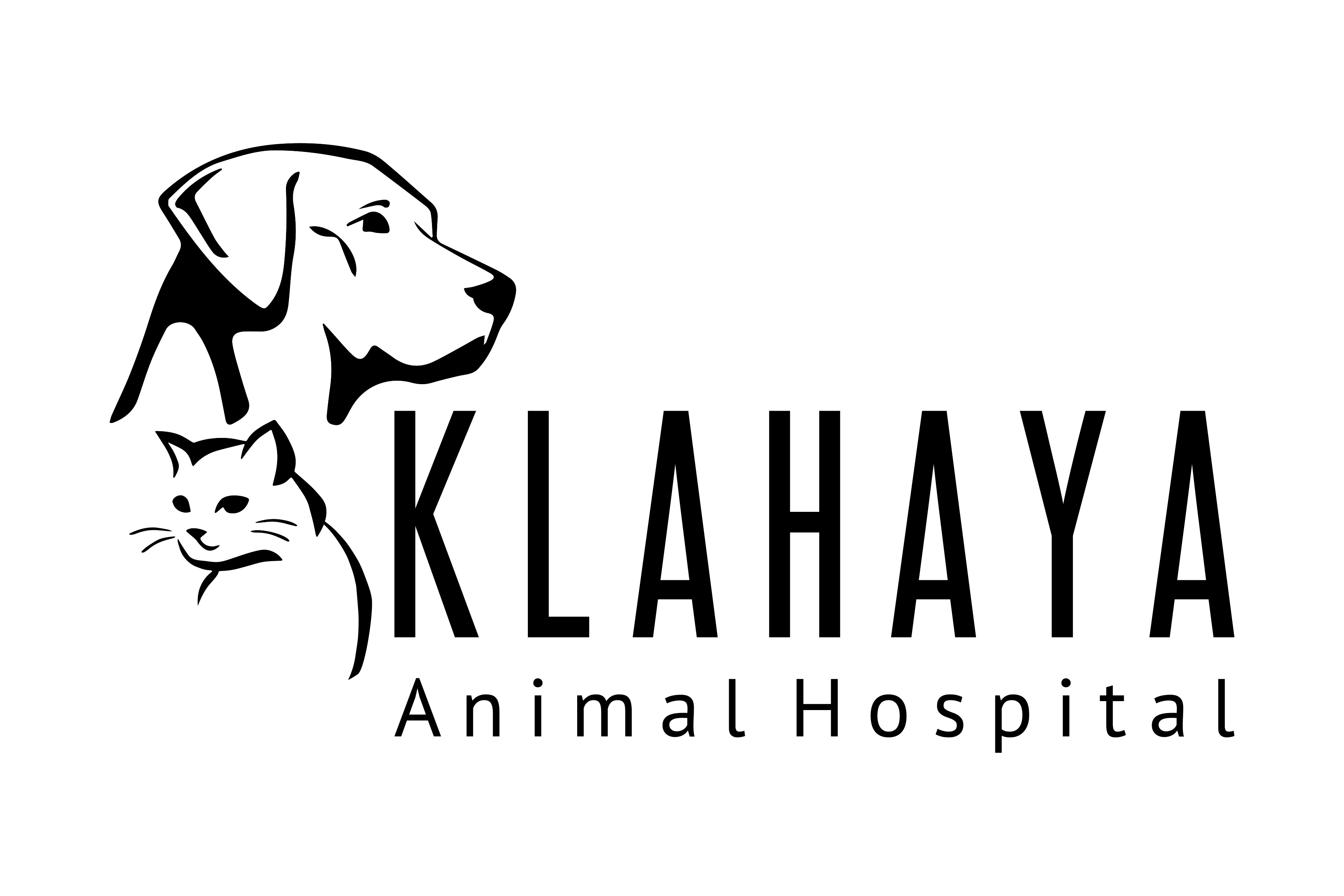 Klahaya Veterinarian | Klahaya Animal Hospital | Snohomish, WA Klahaya Veterinarian | Klahaya Animal Hospital | Snohomish, WA