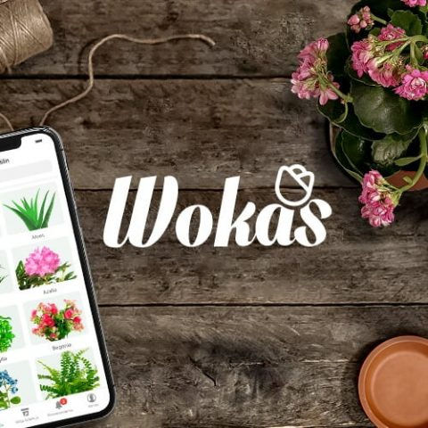 Aplikacja mobilna ułatwiająca opiekę nad roślinami