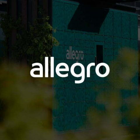 case_allegro_strona_vNaN-1-480x480-c-default.jpg