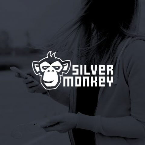 Graphic design and marketing campaign for Silver Monkey