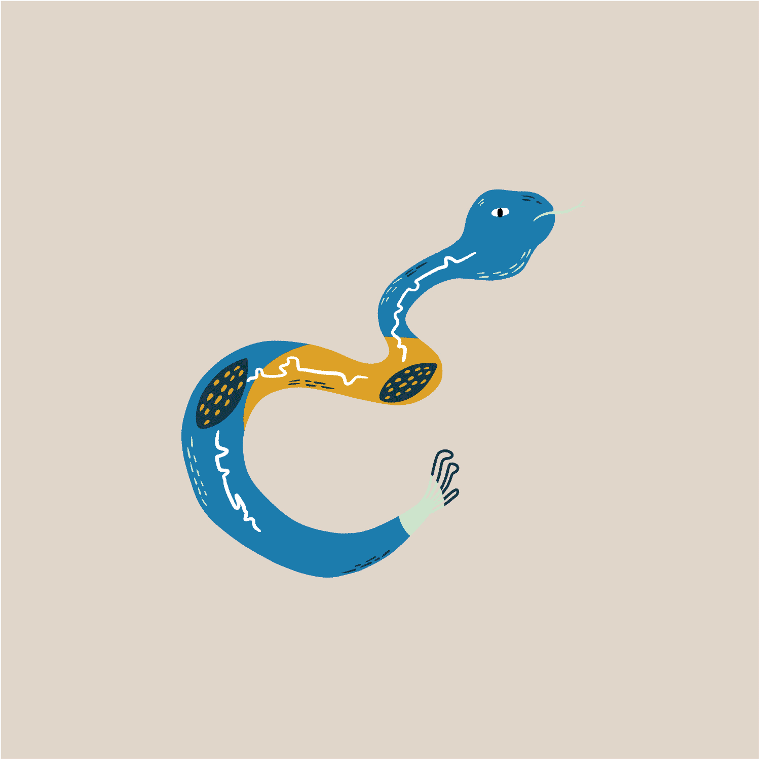 Wildgulfweb2.gif