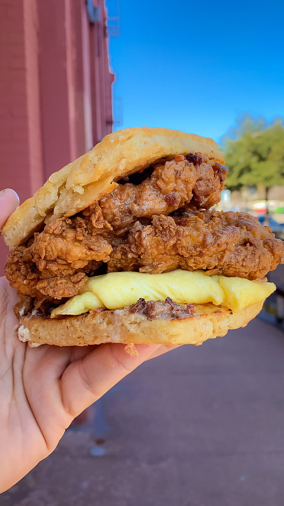 Maple bacon chicken biscuit