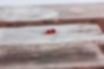 Krill produkt drivved-5-Edit.jpg