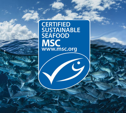 MSC_Image.jpg