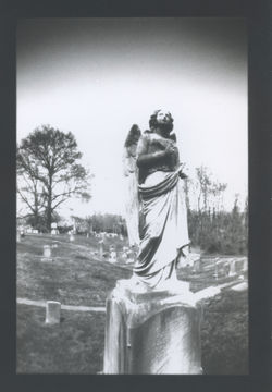 Pinhole Camera Series