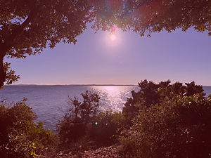 IMG_5931_edited.jpg
