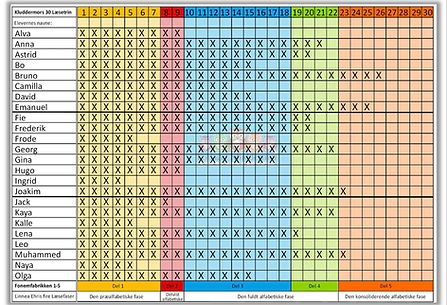 Multimappen skema udfyldt.jpg