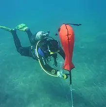Search and Recovery