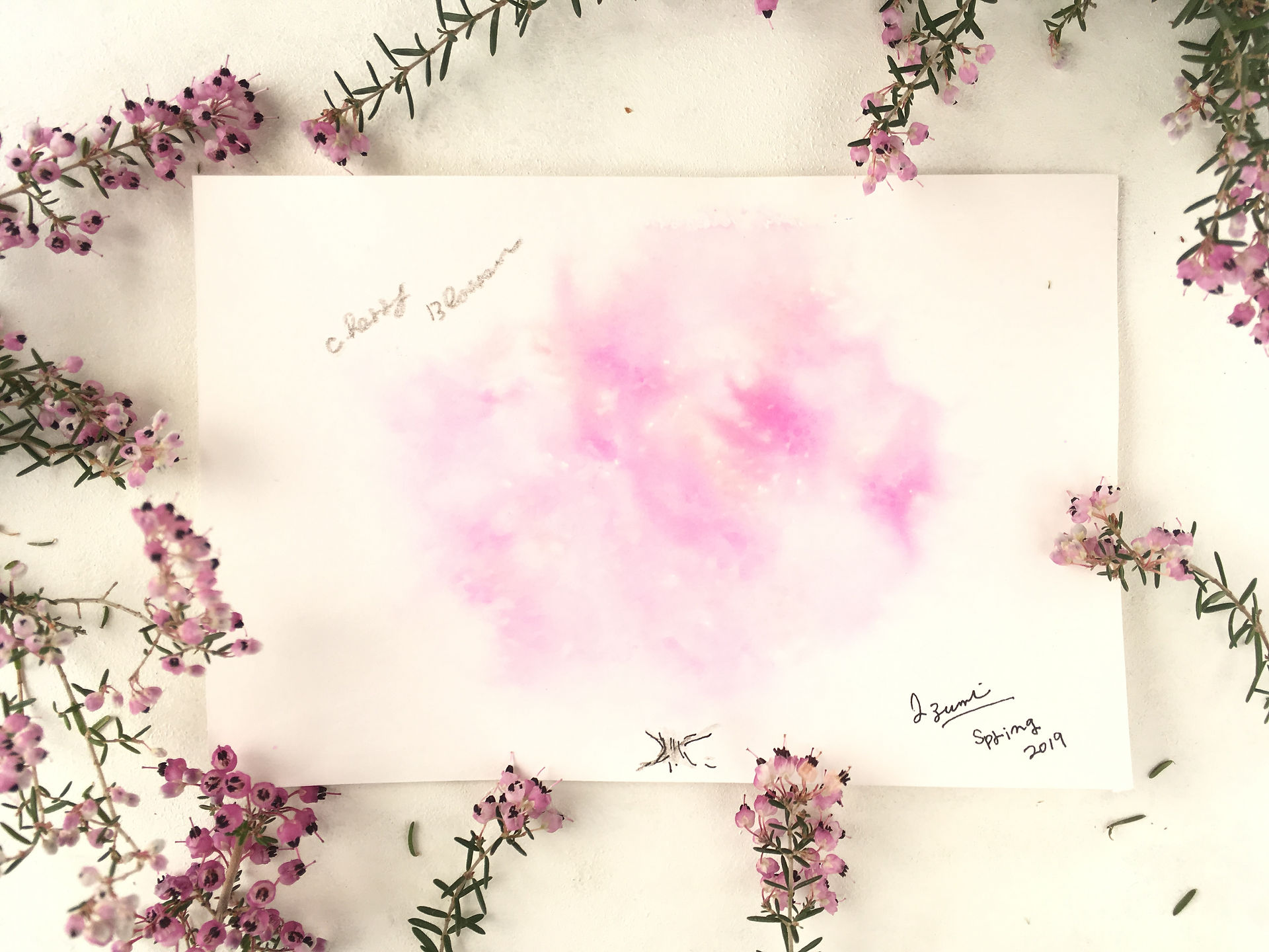 IMG_4687