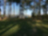 Gazebo 3