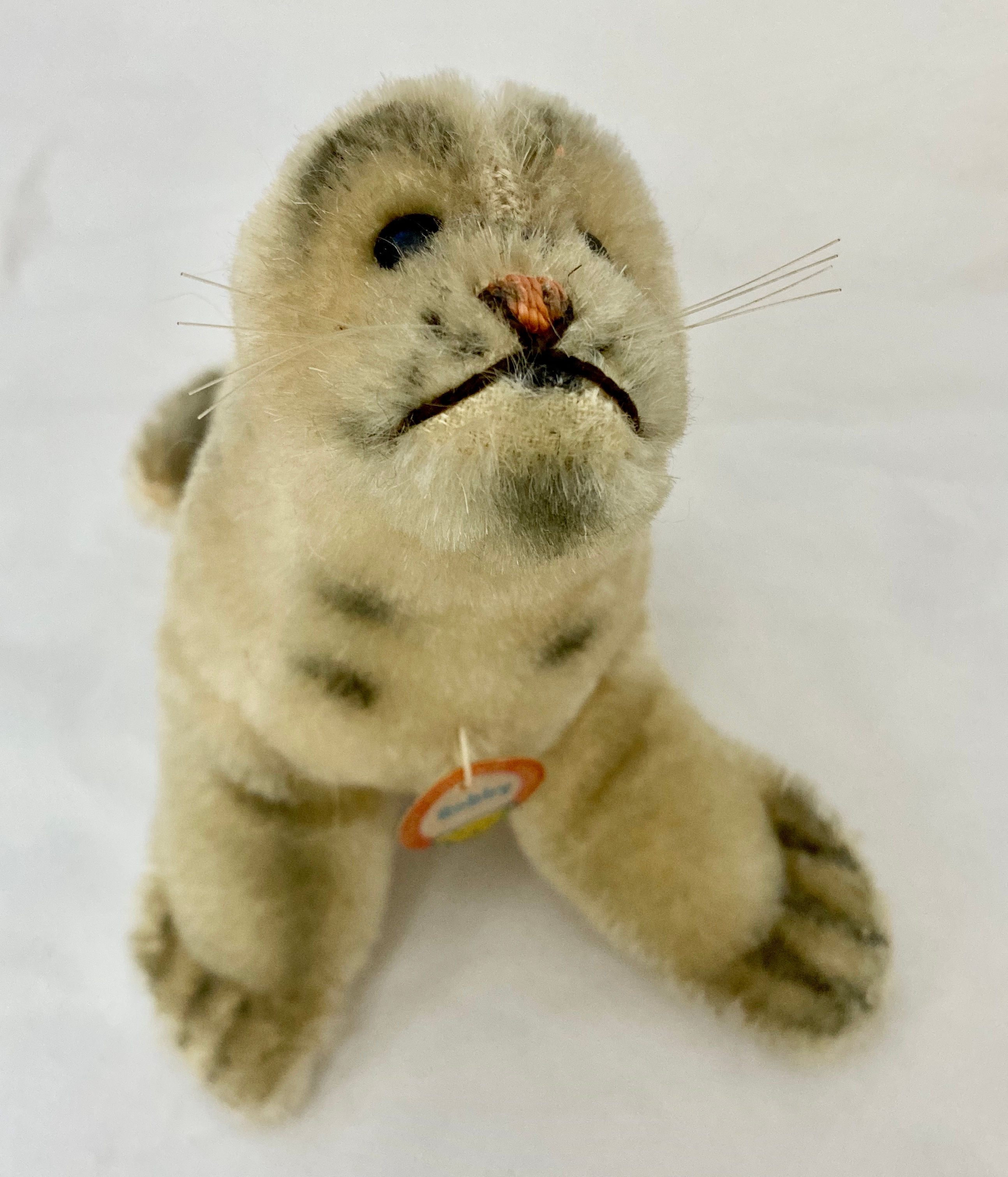 Lovely Vintage Steiff mini seal Robby - 15cm with label
