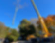 Plant-03.jpg