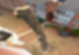 Plant-04.jpg