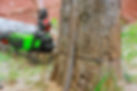 chainsaw-01.jpg