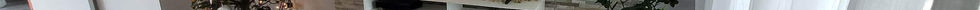 pexels-cottonbro-9953288_edit.jpg