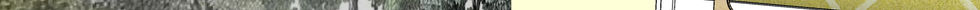 pexels-cottonbro-9836451 new 2.jpg