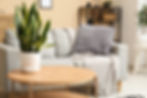 Cozy sofa with plaid, cushion and coffee table with plant in living room.jpg