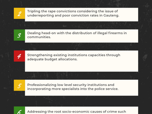 Rise Mzansi digs deep to tackle crime in Gauteng