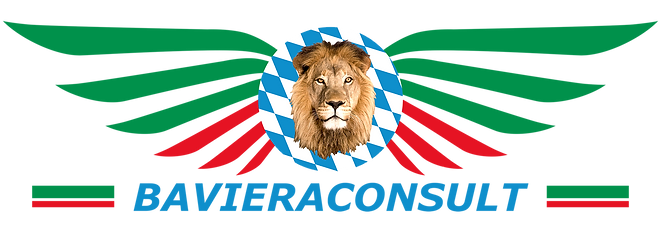 Bavieraconsult_Logo_800px.png