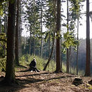 battlegreatwoods3 (1).jpeg