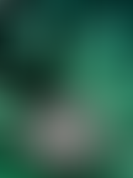 Branches Of Sunshire