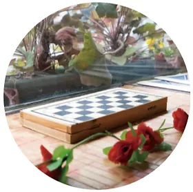 Chess For Japan 女性チェス 自由が丘 チェスレッスン 紅茶 Chess For Japan 女性チェス 自由が丘 チェスレッスン 紅茶