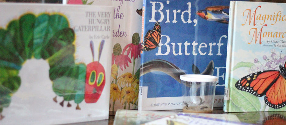 Children's books on butterflies and caterpillars