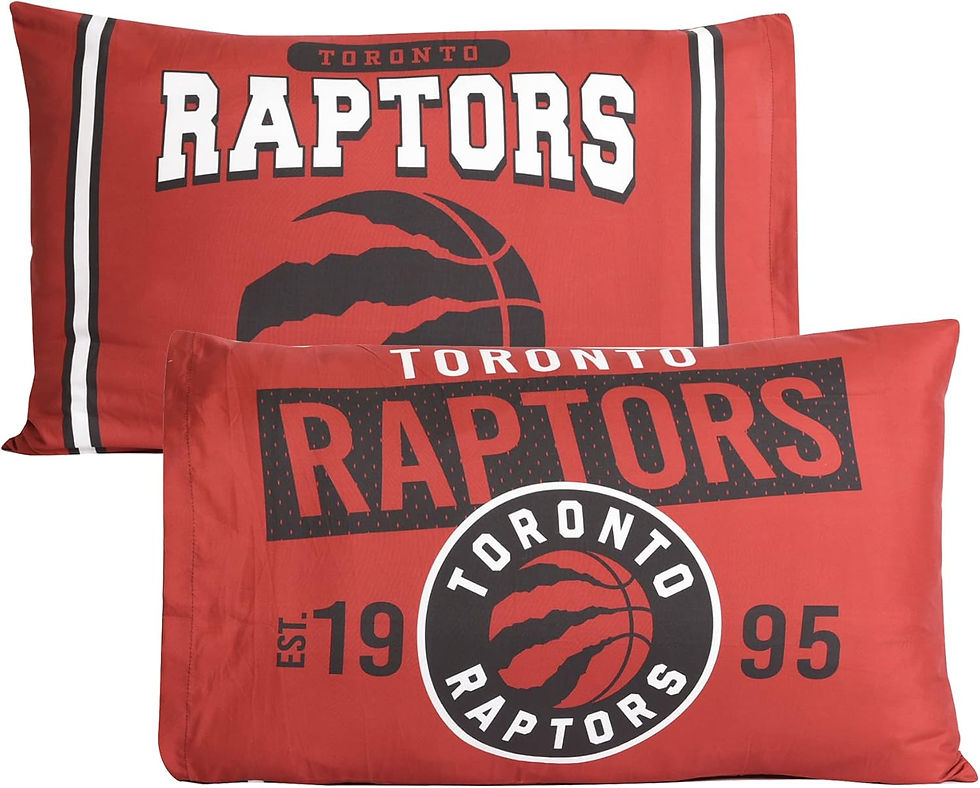 NHL Set of 2 Pillowcases EXPRESSIONS Reversible Soft & Durable – Standard Size