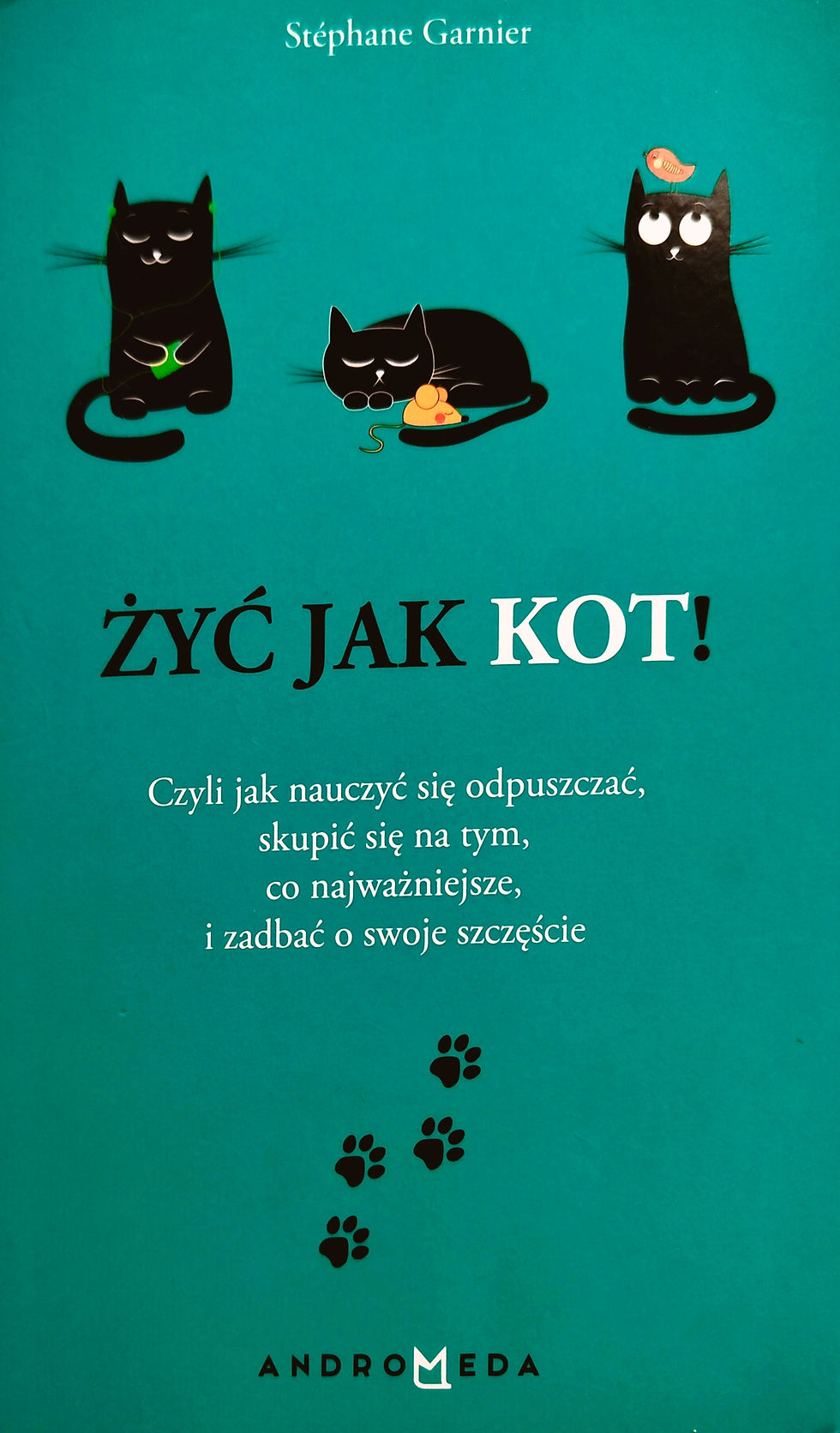 Stephane Garnier Żyć jak kot okładka książki
