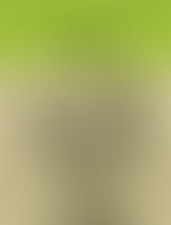 Inwazja Jaszczurów Karel Capek recenzja