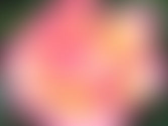 第10回コクア会 開催しました