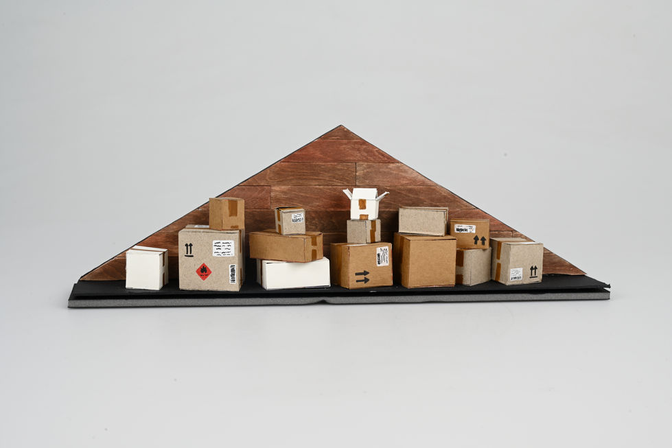 Capture One Catalog0001