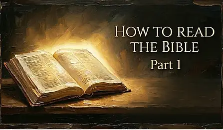 How to Read Your Bible