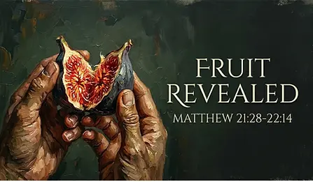 The Book of Matthew