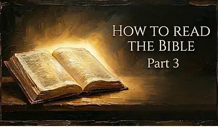 How to Read Your Bible