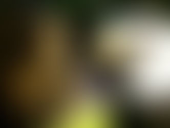 Grande dérbi da 2ª circular