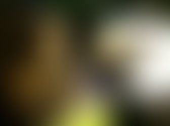 Grande dérbi da 2ª circular