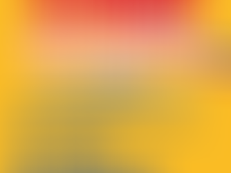 2026 Summer Concert Series