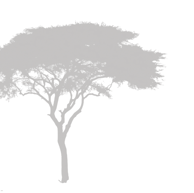 Travel Circle_Landing Page_Elements-11.png