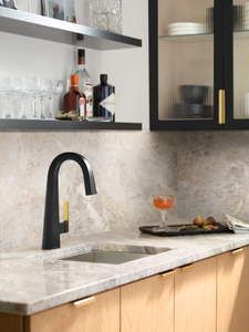 Moen Nio Kitchen Collection Desginer Black Stainless Ferguson